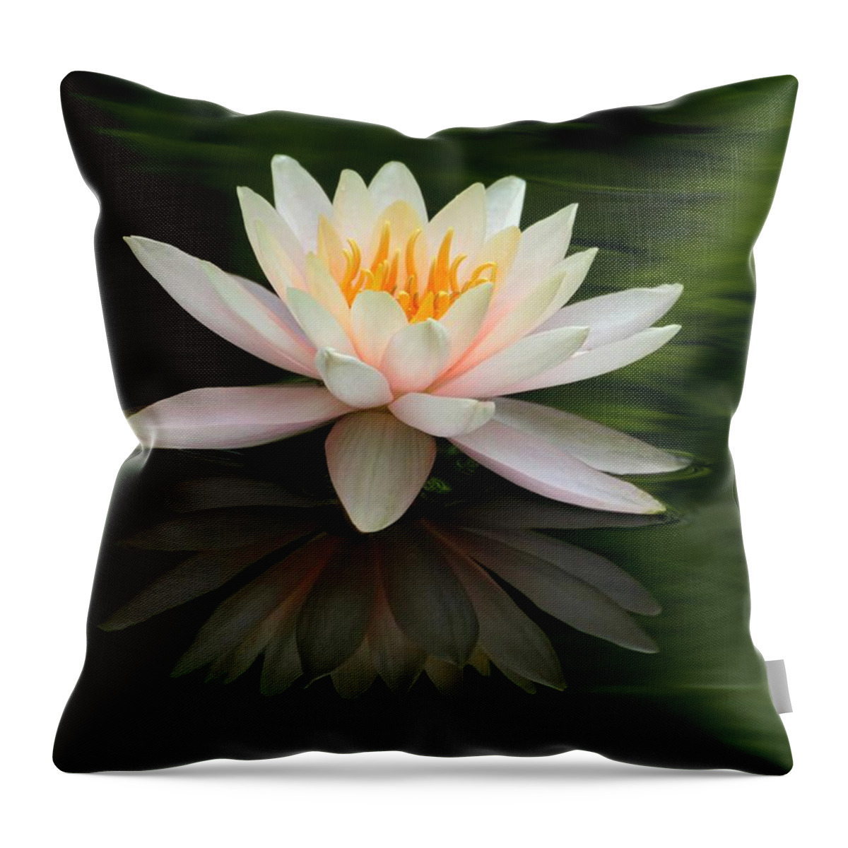 White Throw Pillow featuring the photograph Reflections of a Water Lily by Sabrina L Ryan