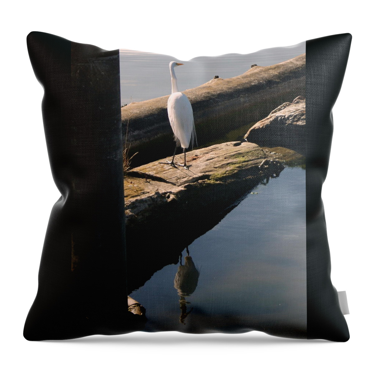 Egret Throw Pillow featuring the photograph Reflections of an Egret by Beth Collins