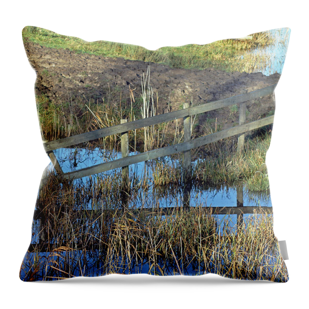 Landscapes Throw Pillow featuring the photograph Reflections of a Fence by Tony Murtagh