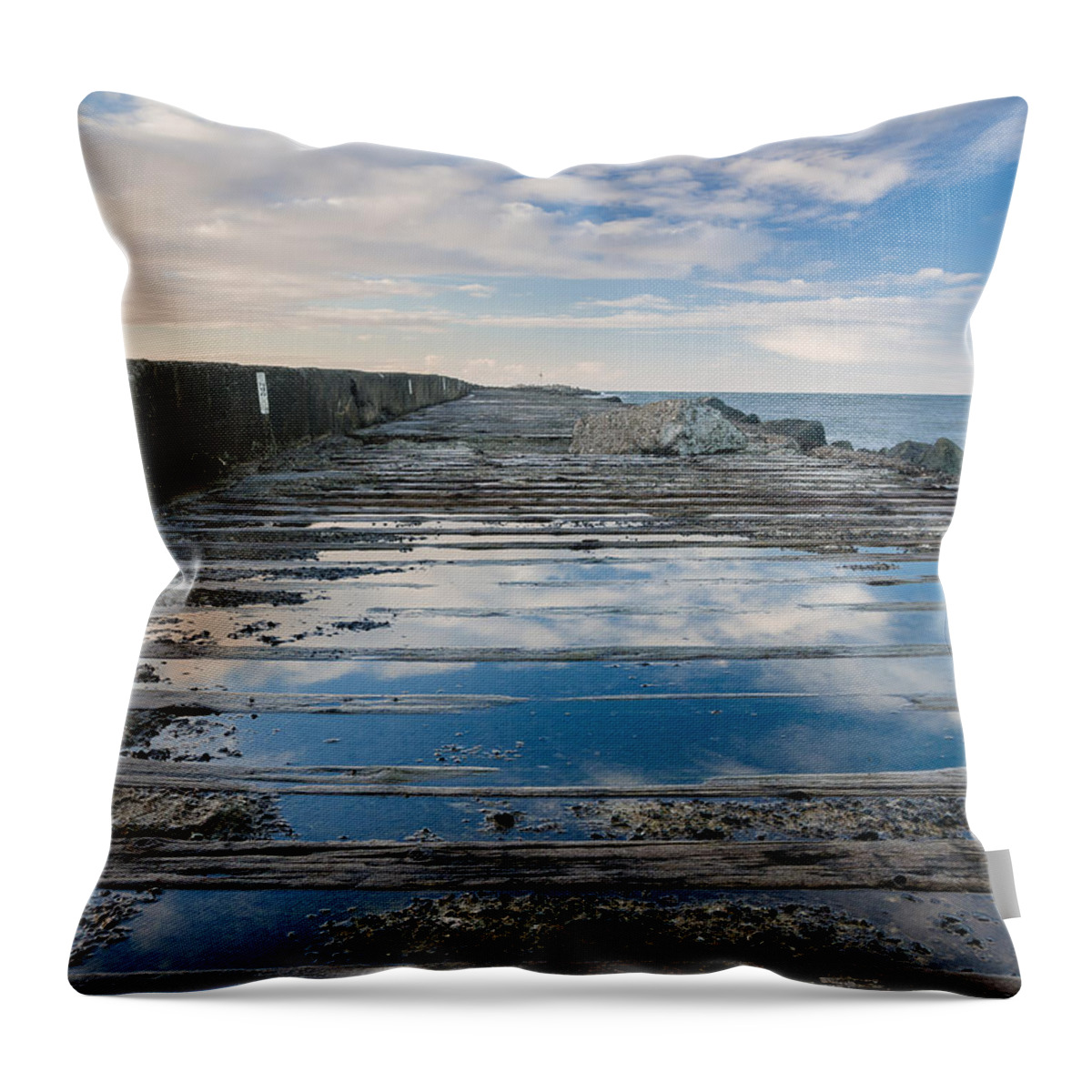 Humboldt Bay Throw Pillow featuring the photograph Reflections on the South Spit by Greg Nyquist