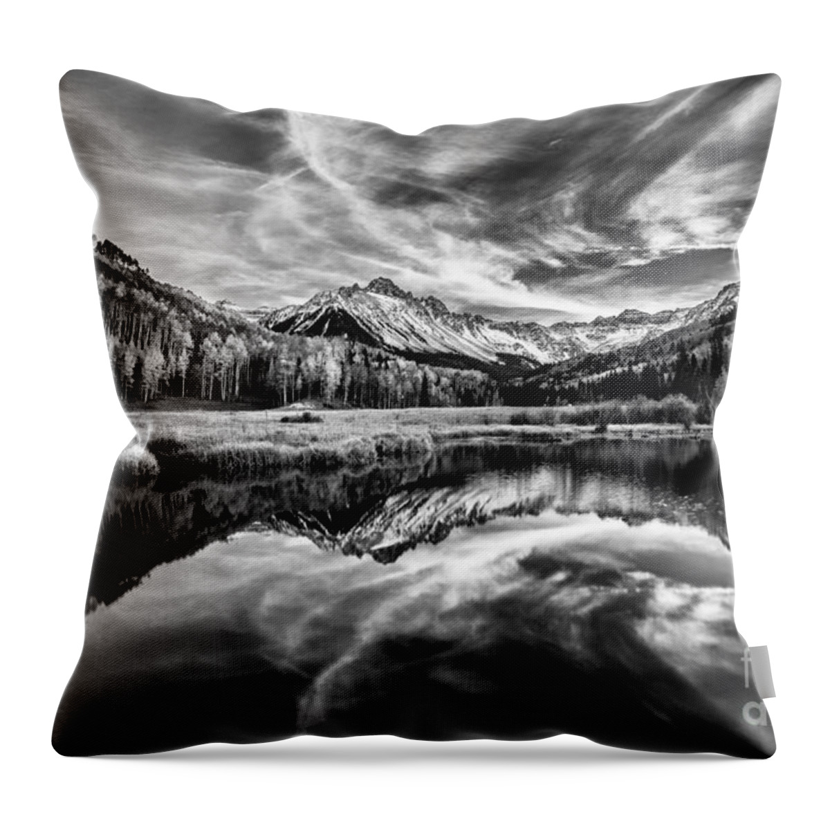 Nature Throw Pillow featuring the photograph Reflections by Steven Reed