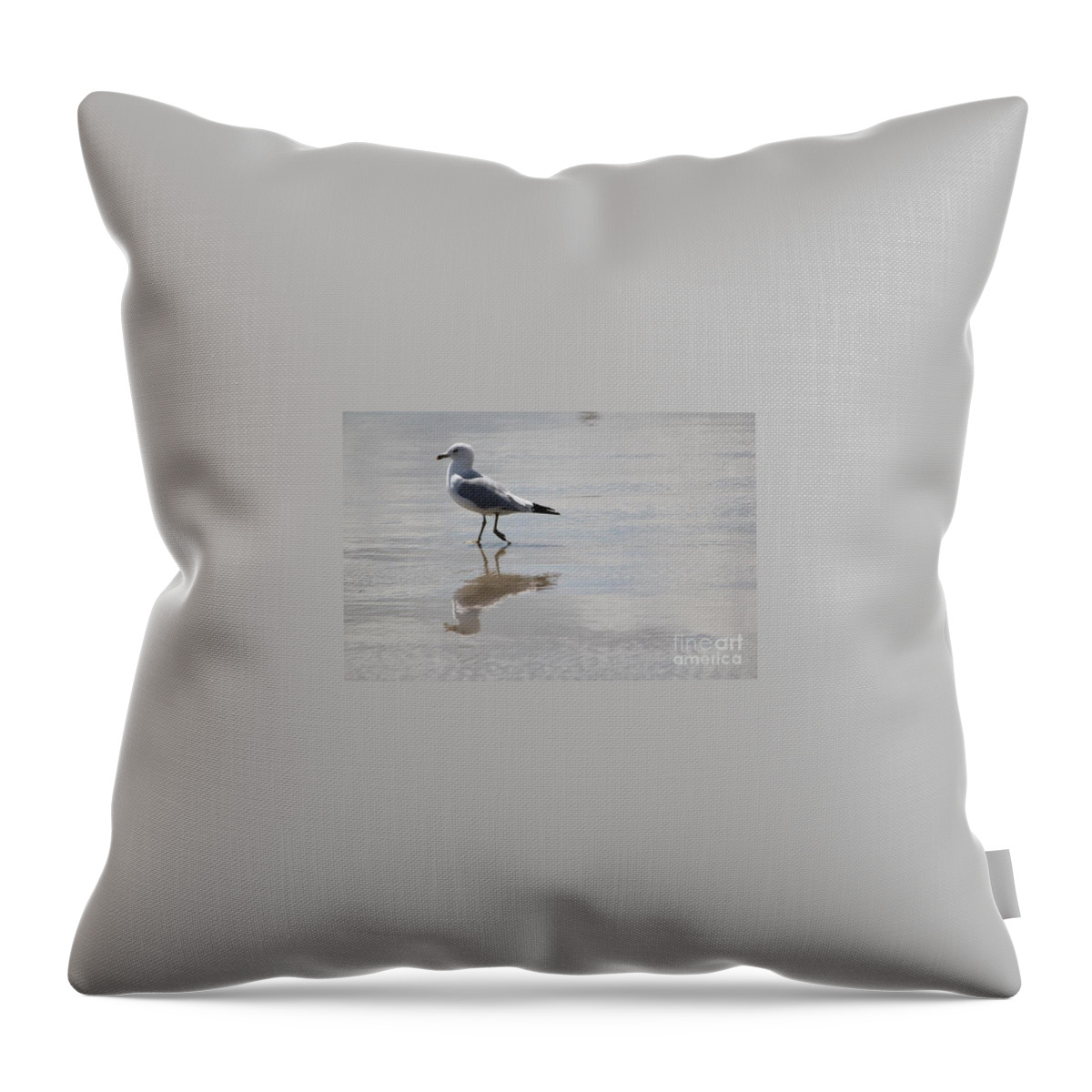 Seagull Throw Pillow featuring the photograph Reflective Seagull by Deena Withycombe