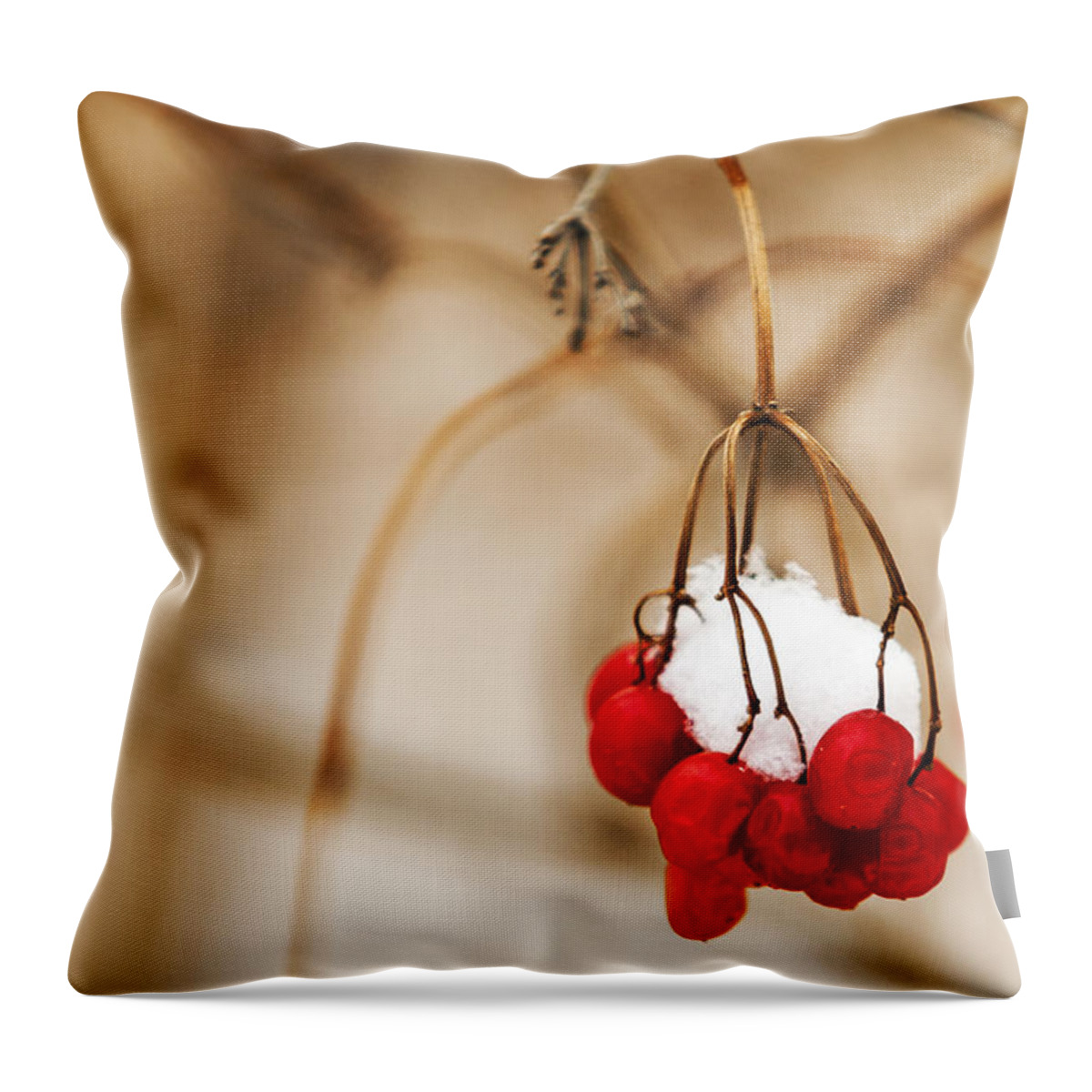 Winter Scene Throw Pillow featuring the photograph Refrigeration by Ed Peterson