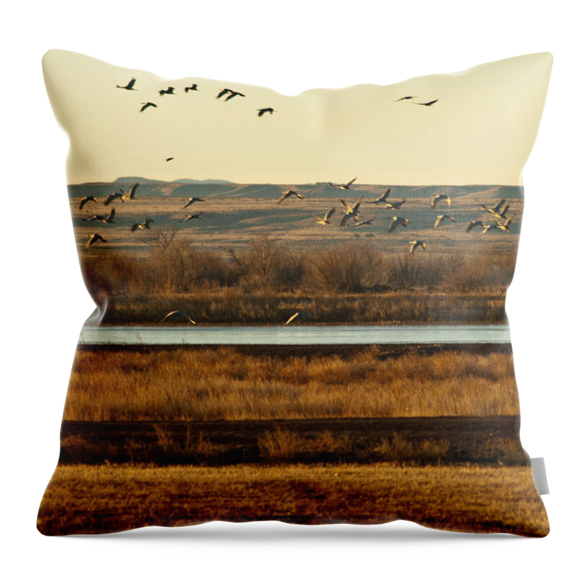  Throw Pillow featuring the photograph Refuge View 6 by James Gay