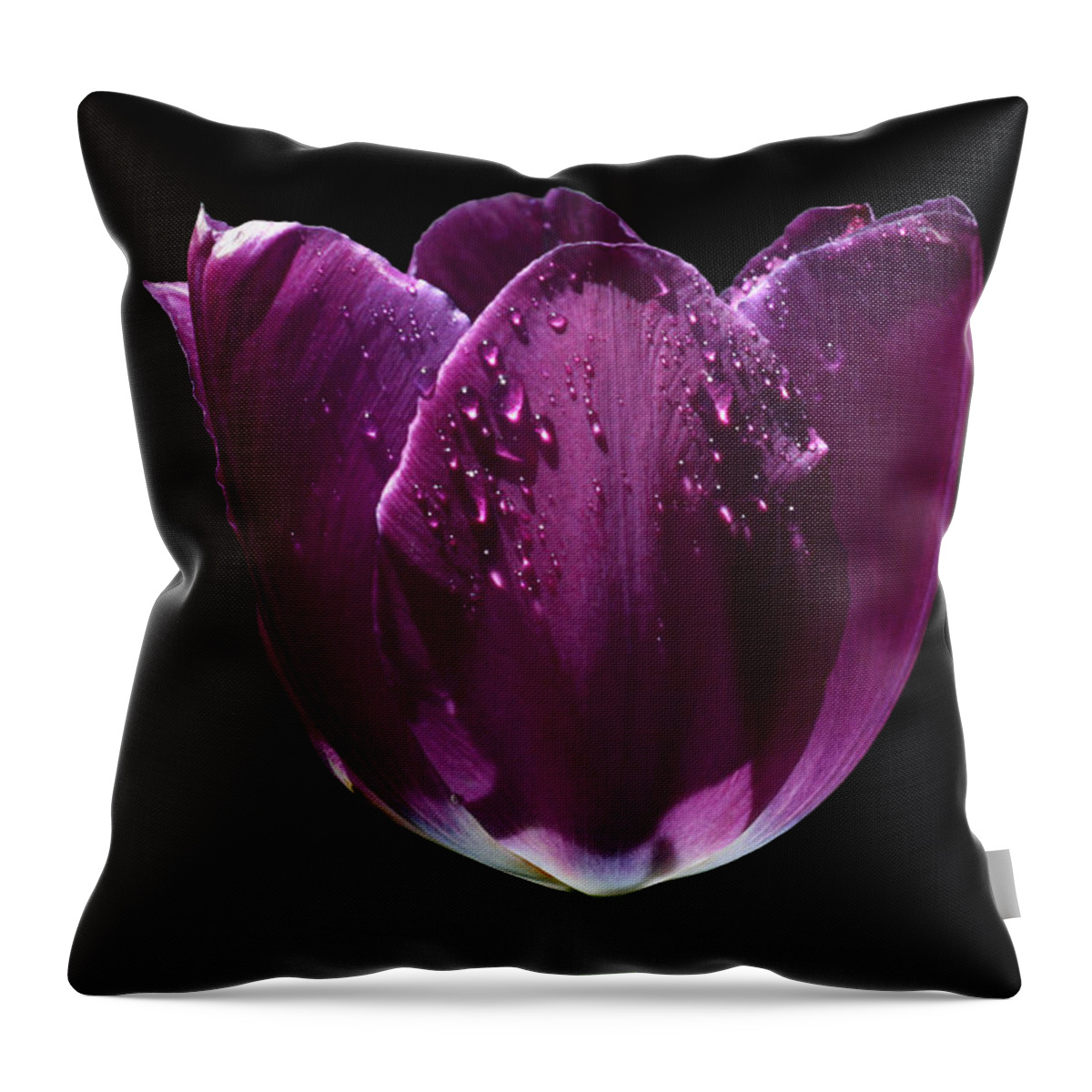 Tulip Throw Pillow featuring the photograph Regal Purple by Doug Norkum
