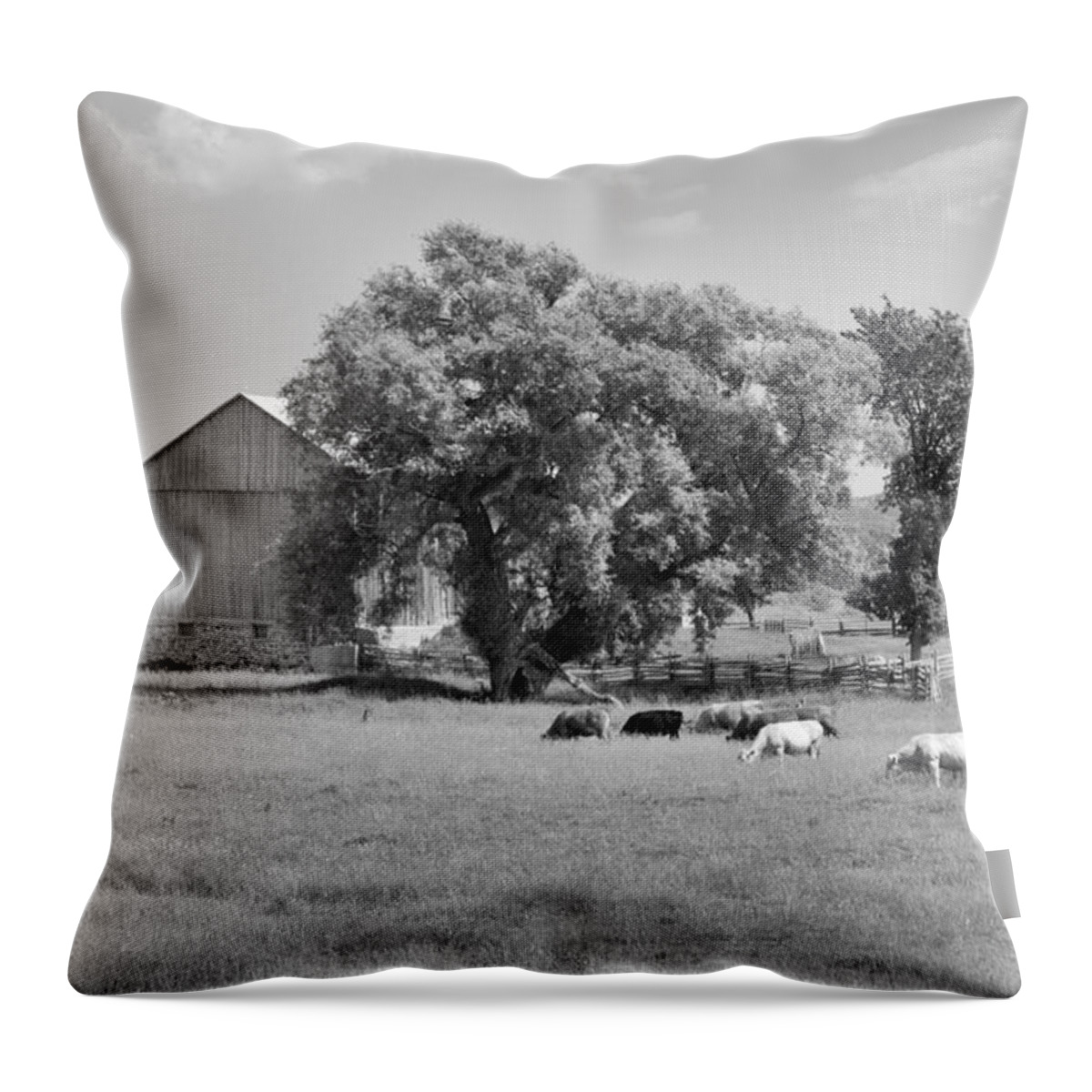 Barn Throw Pillow featuring the photograph Reive Blvd Barn 15059b by Guy Whiteley