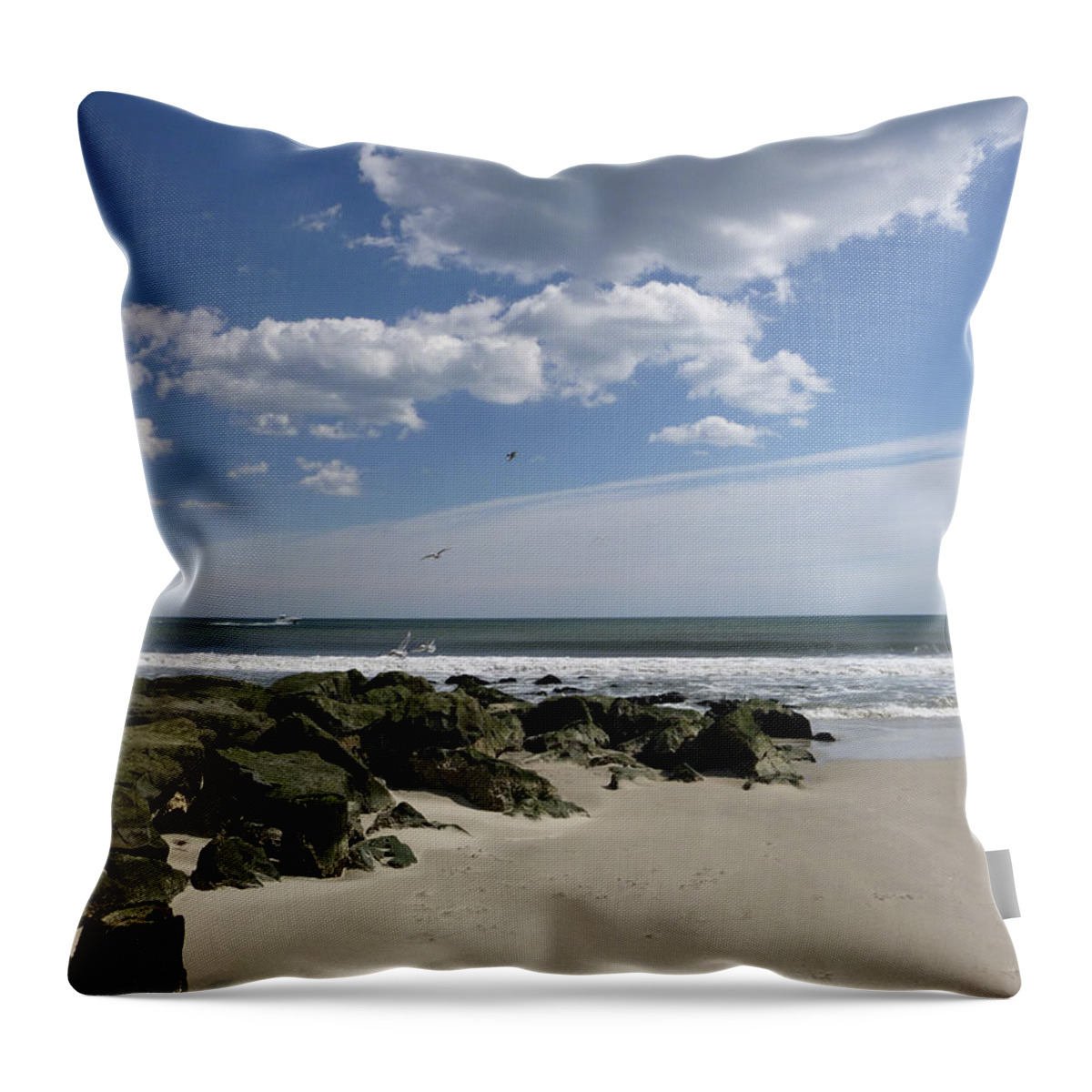 Landscape Throw Pillow featuring the photograph Rejoicing in the day by Ellen Paull