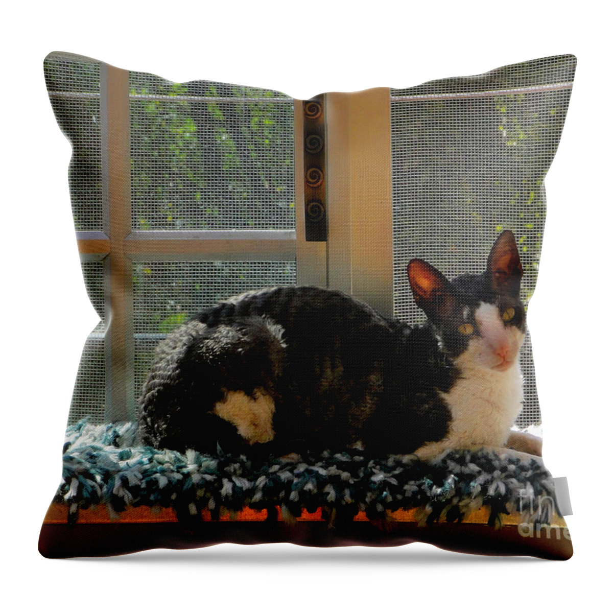 Peso Throw Pillow featuring the photograph Relaxation by Al Bourassa