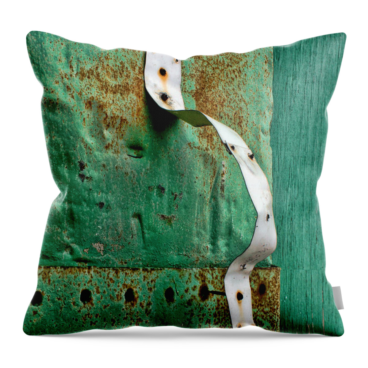 Urban Throw Pillow featuring the photograph Release #1 by Nikolyn McDonald