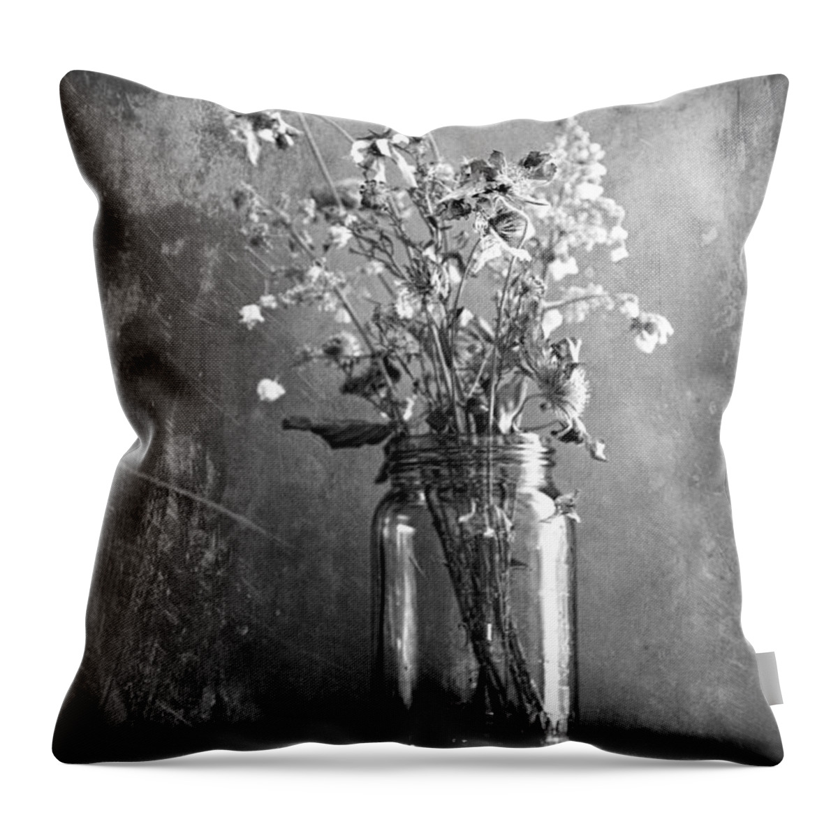 Vintage Jar Throw Pillow featuring the photograph Remains Of The Season by Theresa Tahara