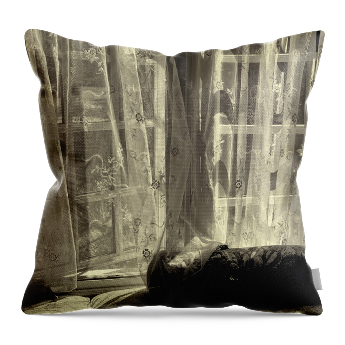 Window Throw Pillow featuring the photograph Remembering the Softness of Your Touch. by Madeline Ellis