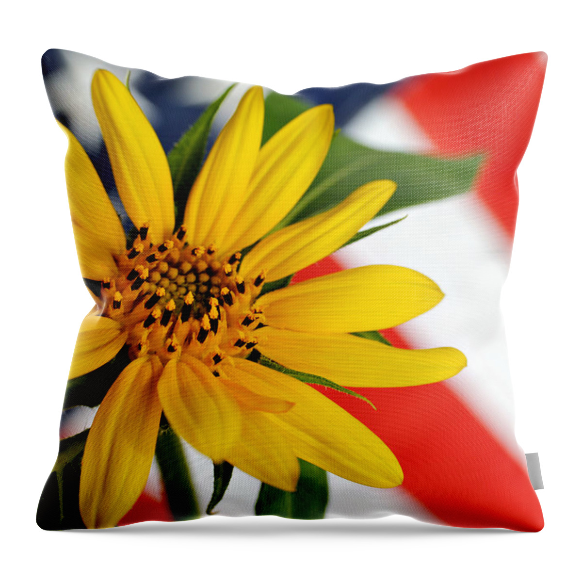 Sunflower Throw Pillow featuring the photograph Remembrance by Kelly Nowak