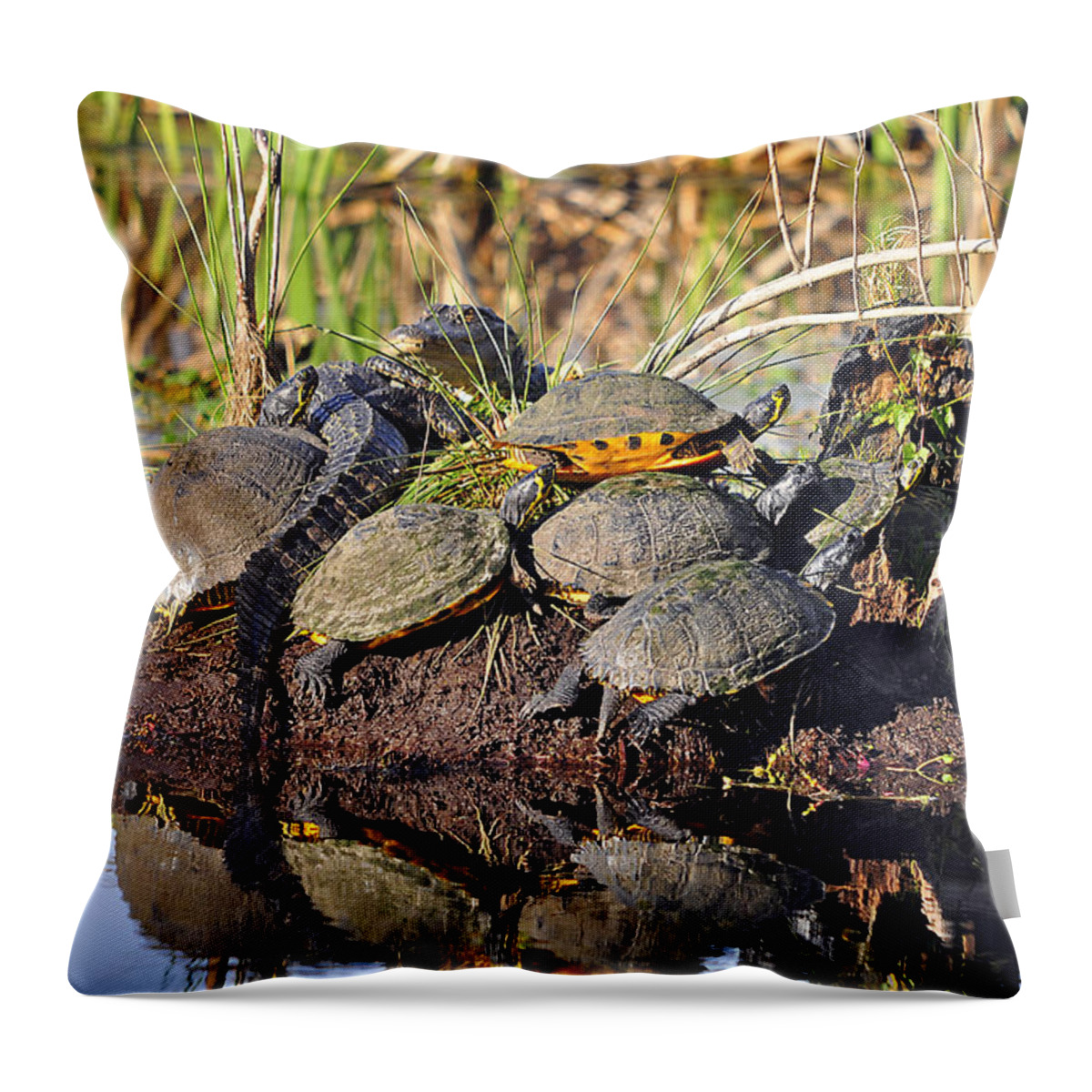 Turtle Throw Pillow featuring the photograph Reptile Refuge by Al Powell Photography USA