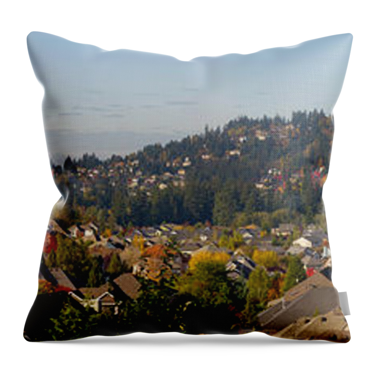 Typical Throw Pillow featuring the photograph Residential Homes in Suburban North America by Jit Lim