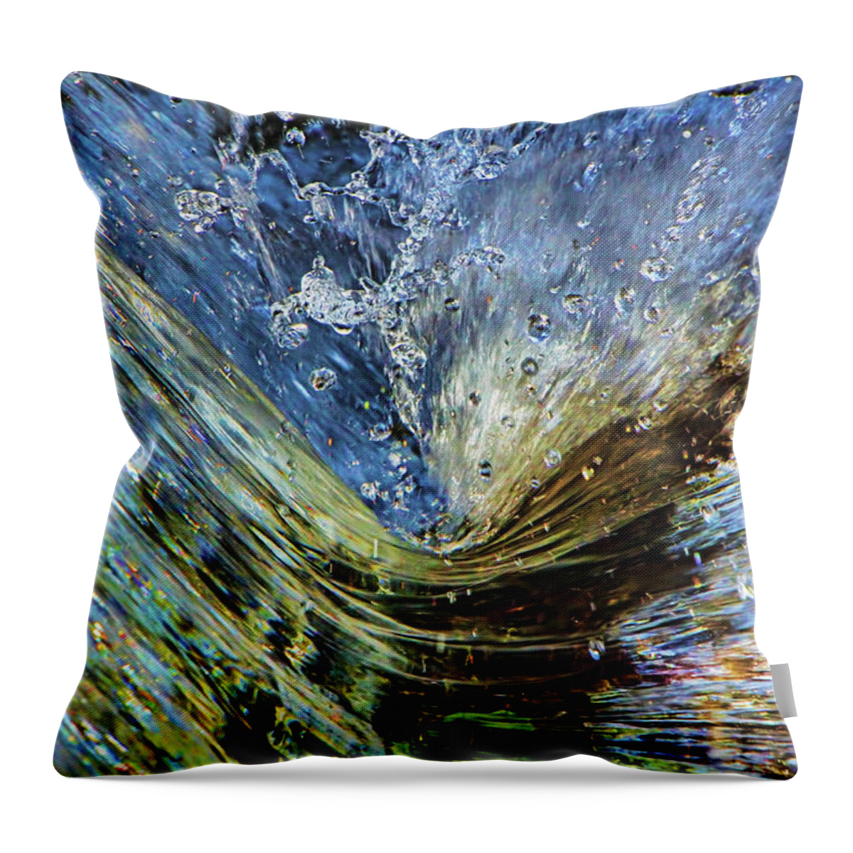 Resistance Throw Pillow featuring the photograph Resistance is Futile by Gary Holmes