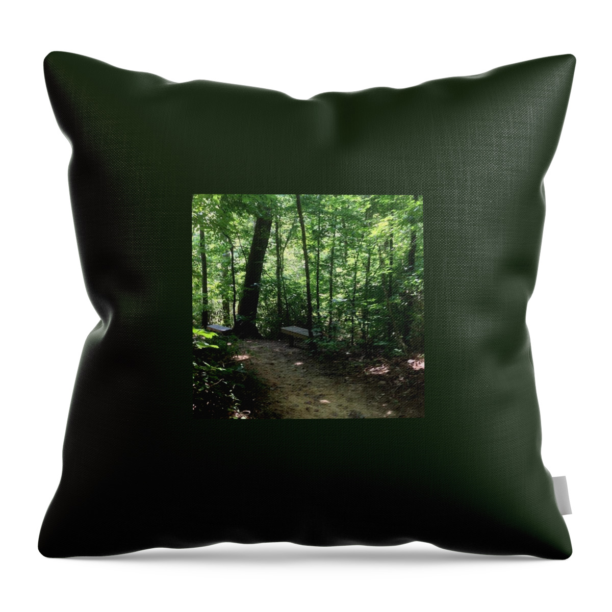  Throw Pillow featuring the photograph Rest Stop On A Hiking Trail by Daniel Eskridge