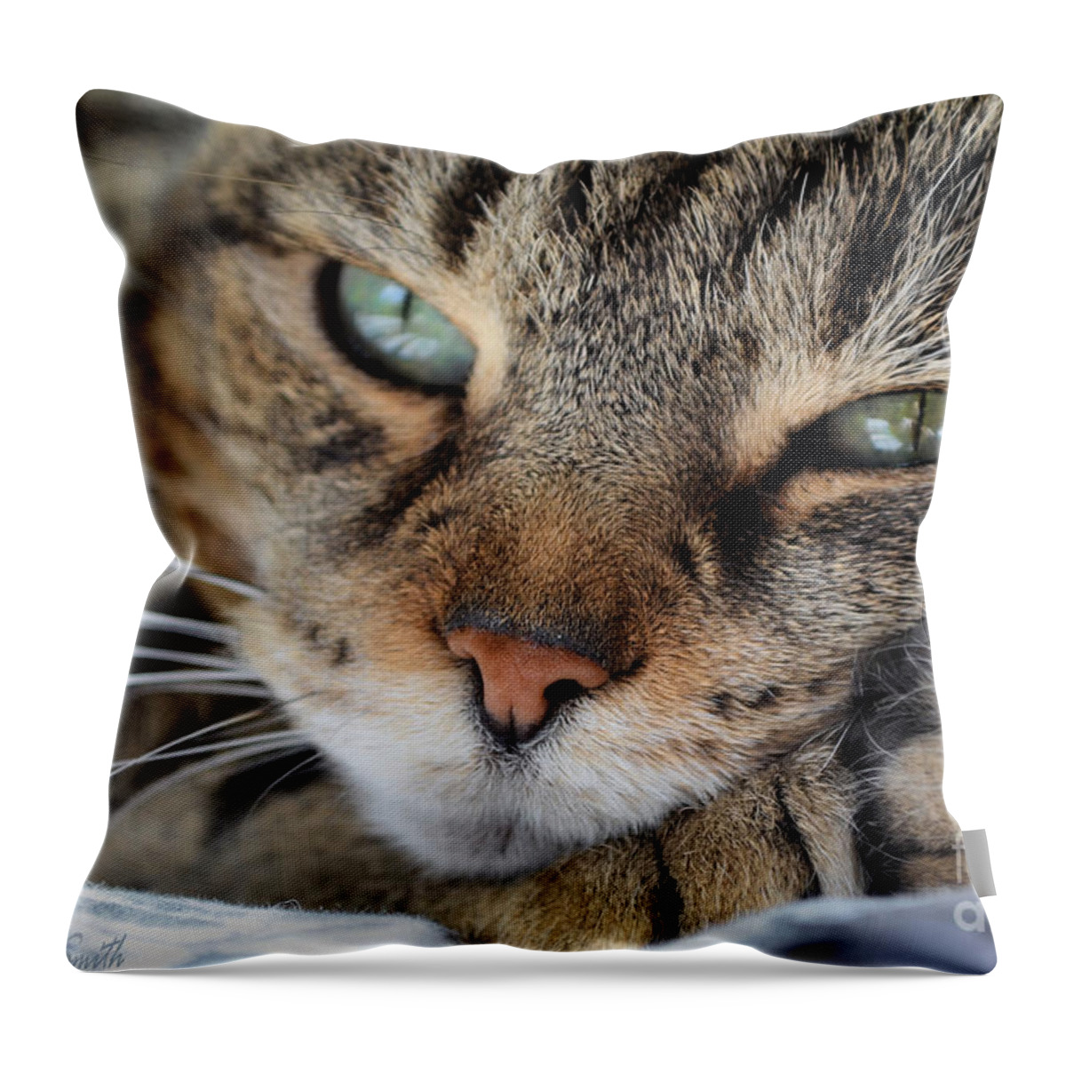 Photography Throw Pillow featuring the photograph Rest by Susan Smith