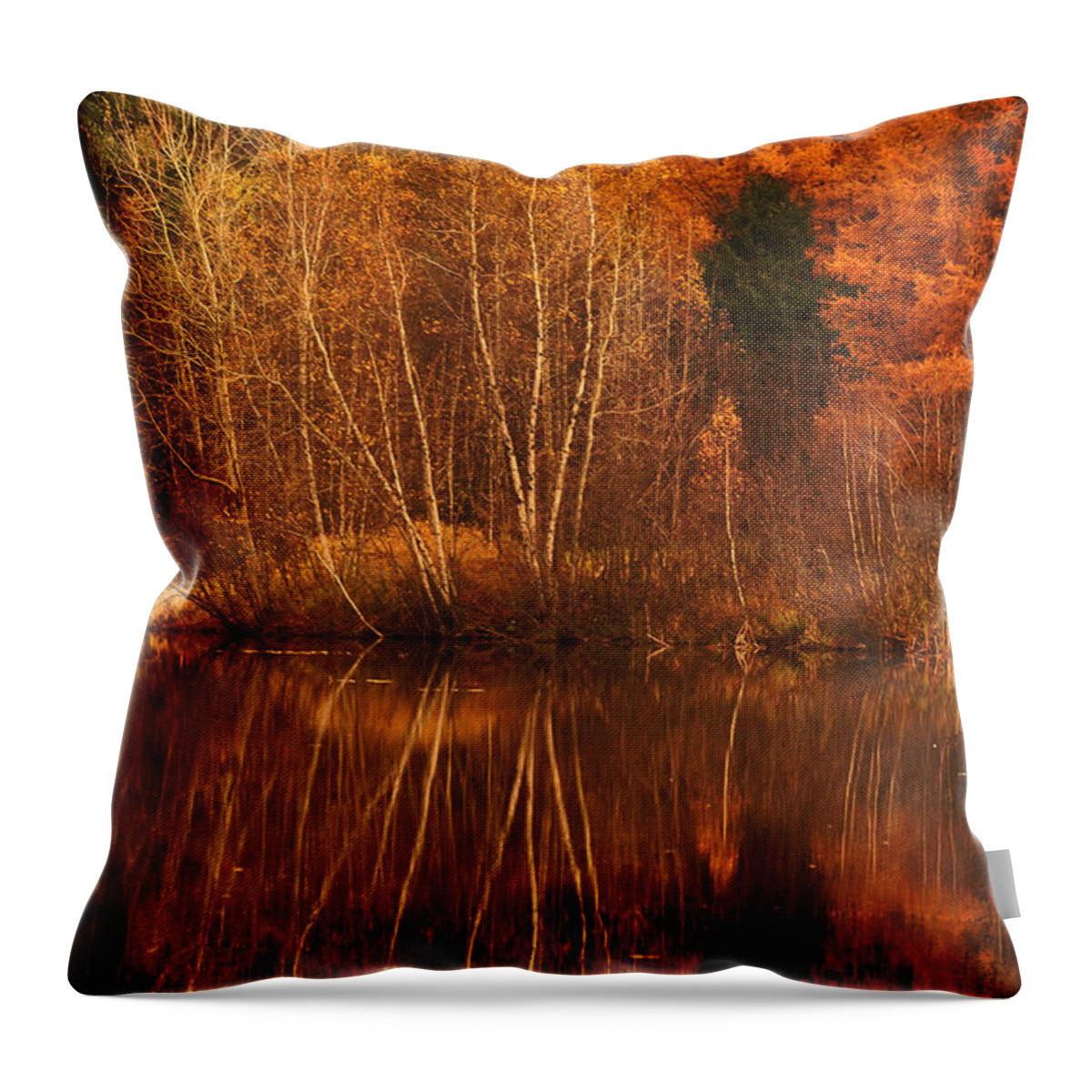 Autumn Throw Pillow featuring the photograph Restes d'Automne by Aimelle Ml
