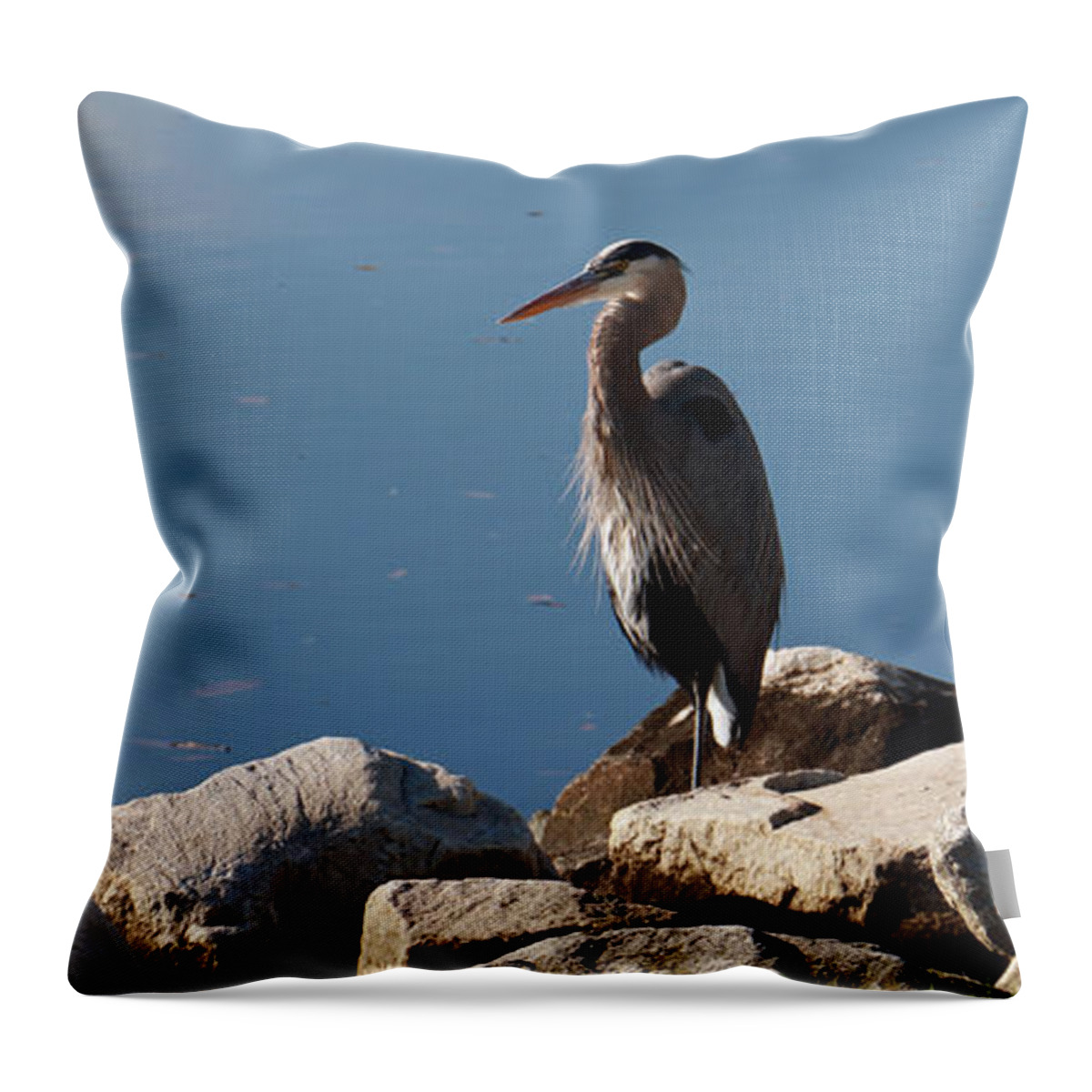 Nature Throw Pillow featuring the photograph Resting Heron by Mary Haber