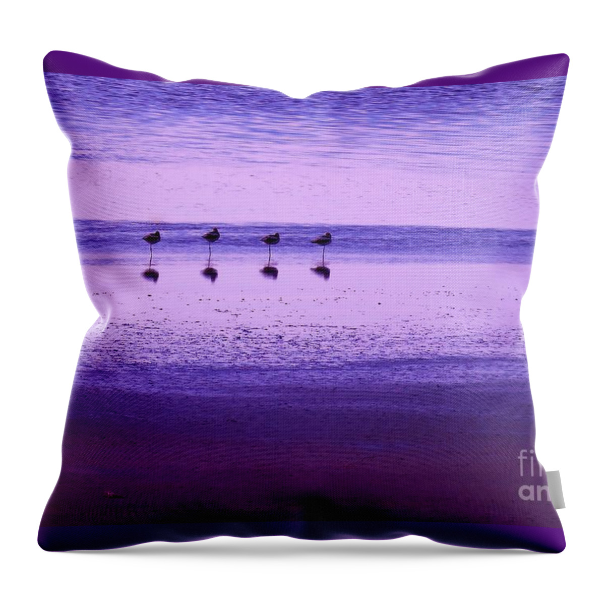 American Avocets Throw Pillow featuring the photograph Avocets Resting in the Sunset by Michele Penner