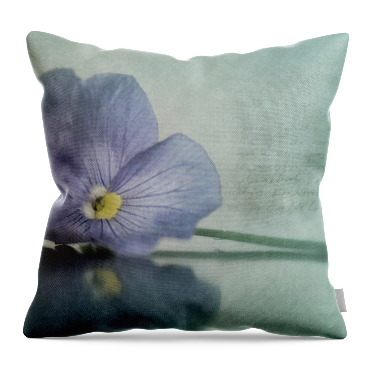 Pansy Throw Pillow featuring the photograph Resting by Priska Wettstein