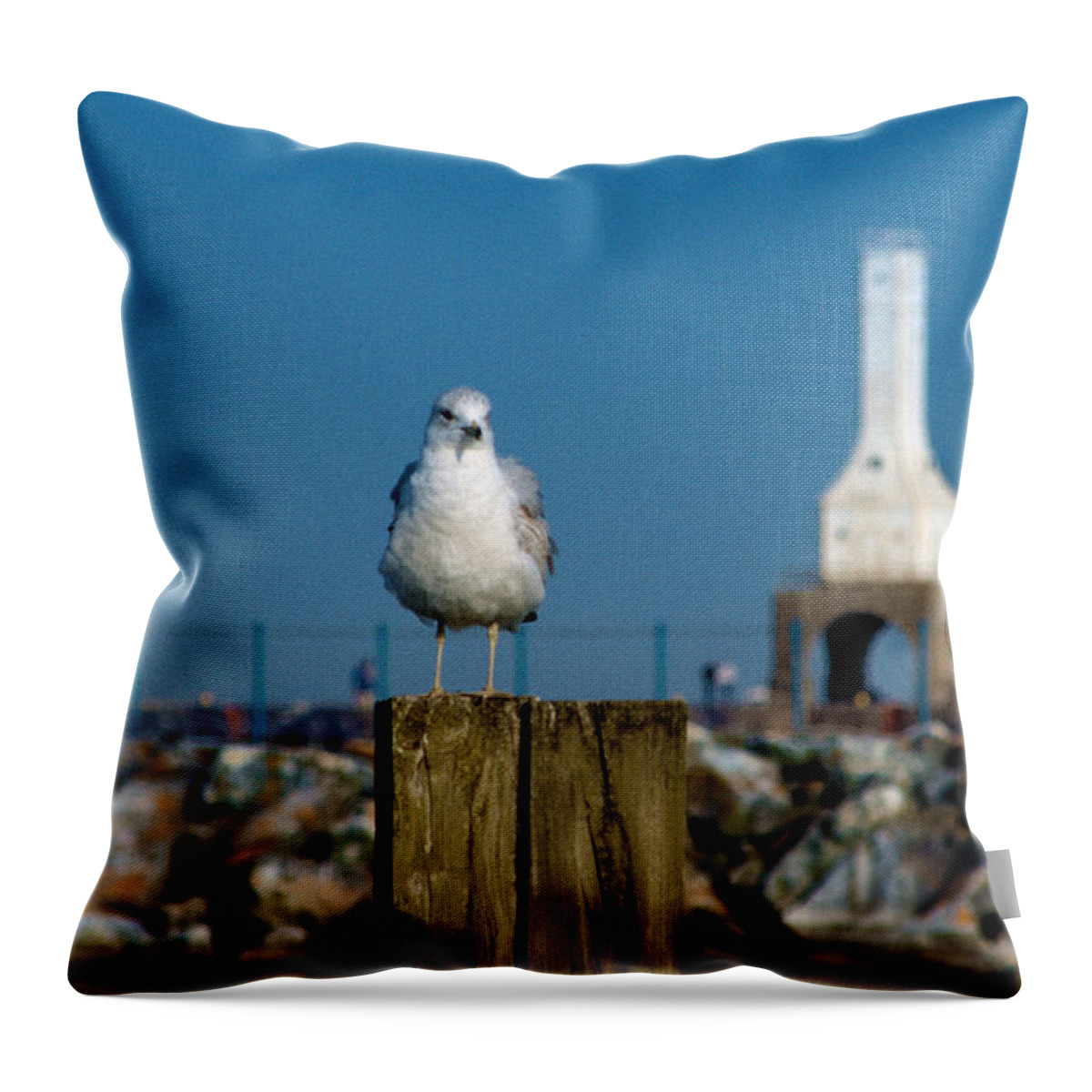 Seagull Throw Pillow featuring the photograph Resting Spot by James Meyer