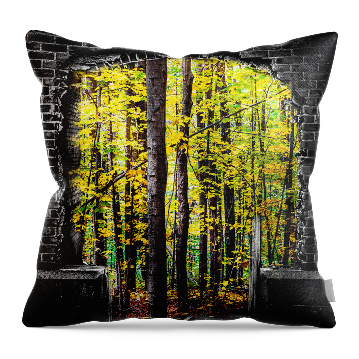 Building Throw Pillow featuring the photograph Restoration by Michael Arend