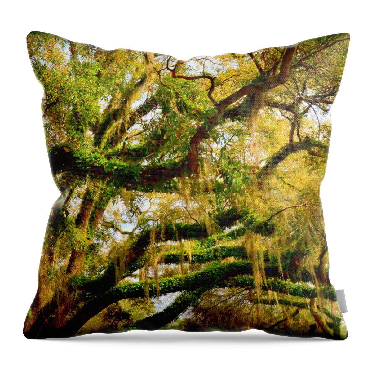Resurrection Throw Pillow featuring the photograph Resurrection Fern by Carla Parris