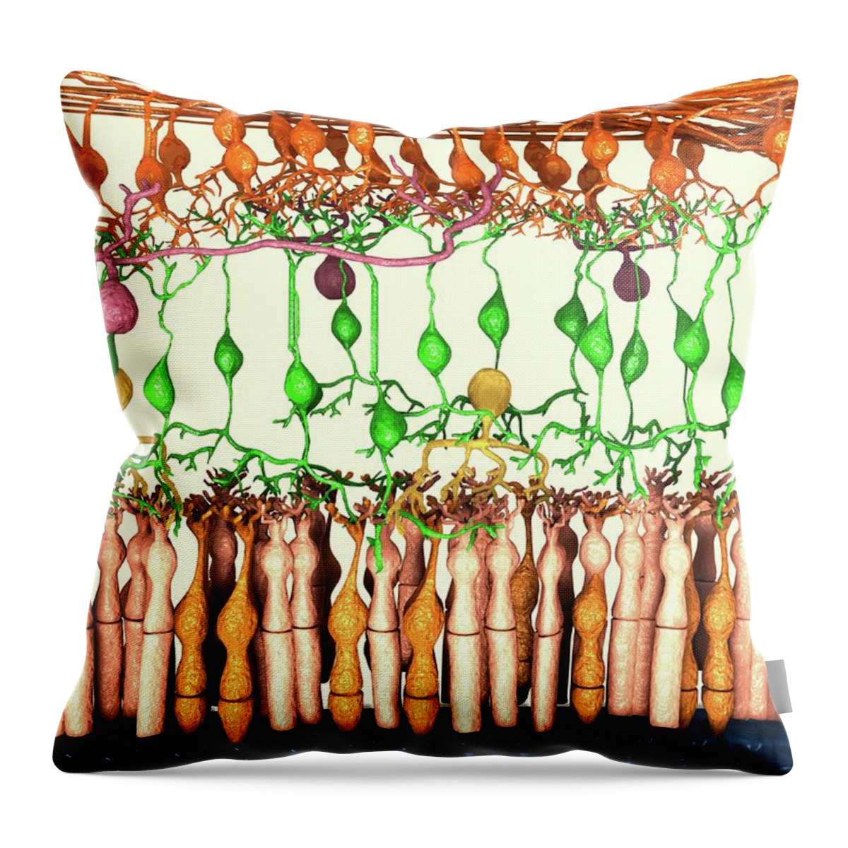 Art Throw Pillow featuring the photograph Retina Cell Layers, Artwork by Juan Gaertner