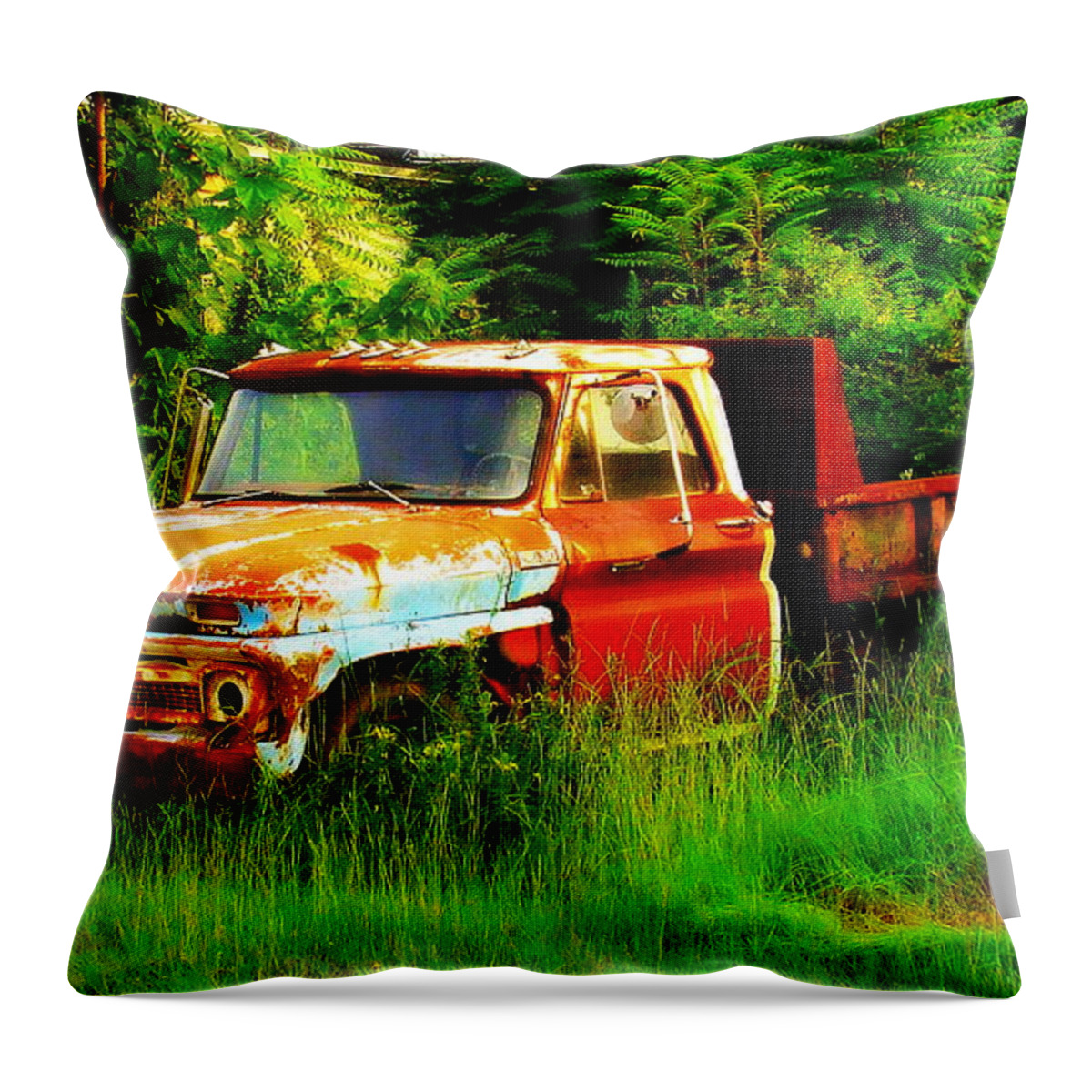 Fine Art Throw Pillow featuring the photograph Retired by Rodney Lee Williams