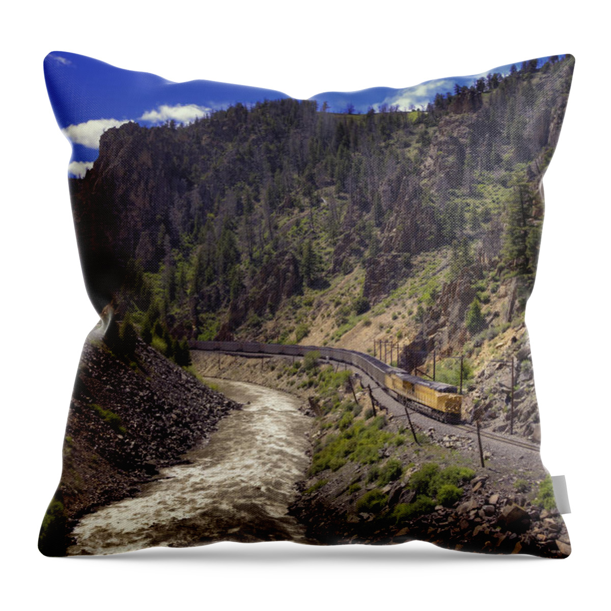 Train Throw Pillow featuring the photograph Retro by Joan Carroll