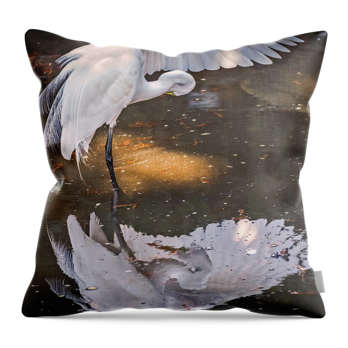 Bird Throw Pillow featuring the photograph Revealed Close-up by Kate Brown