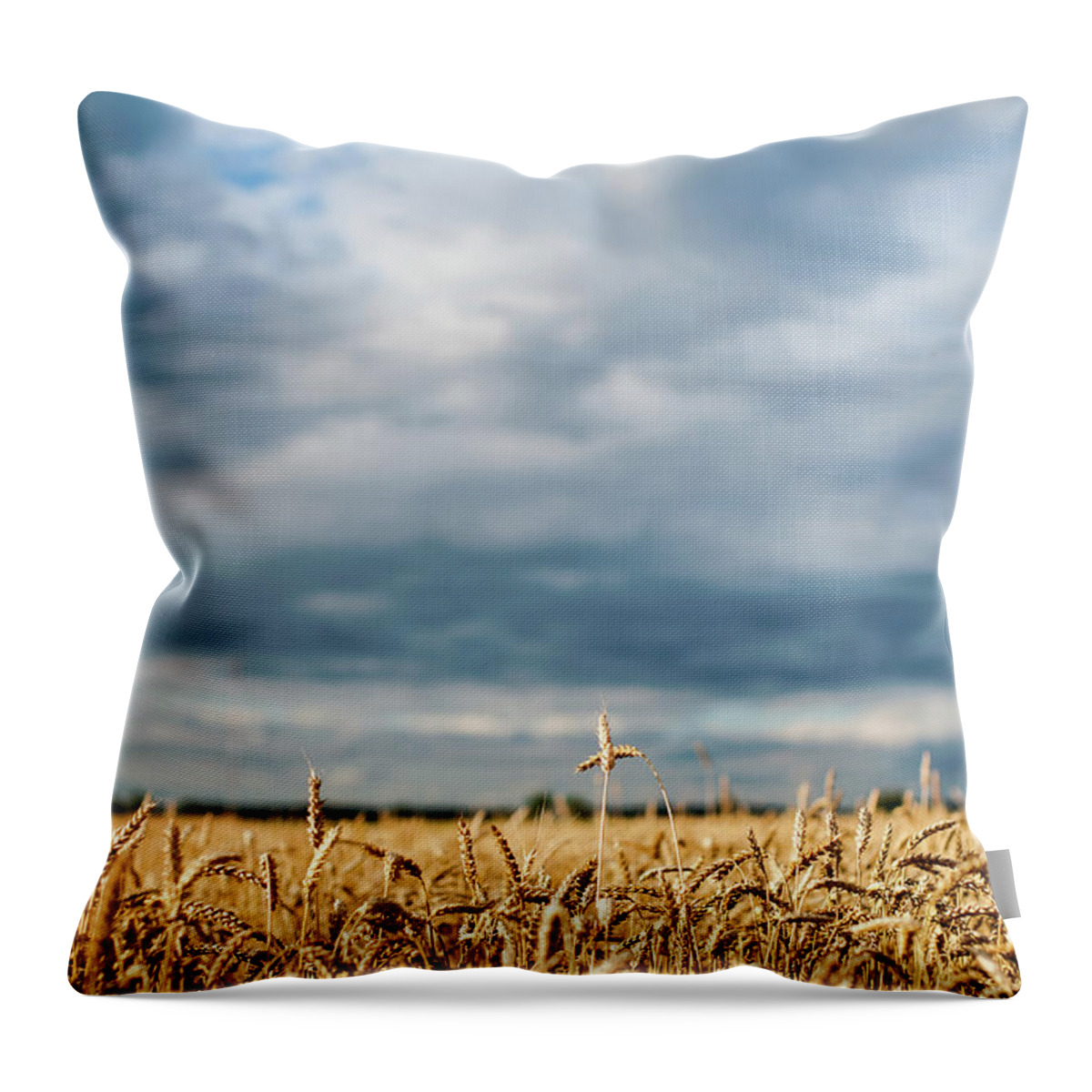 Scenics Throw Pillow featuring the photograph Rey Field And Dark Sky by A. Aleksandravicius