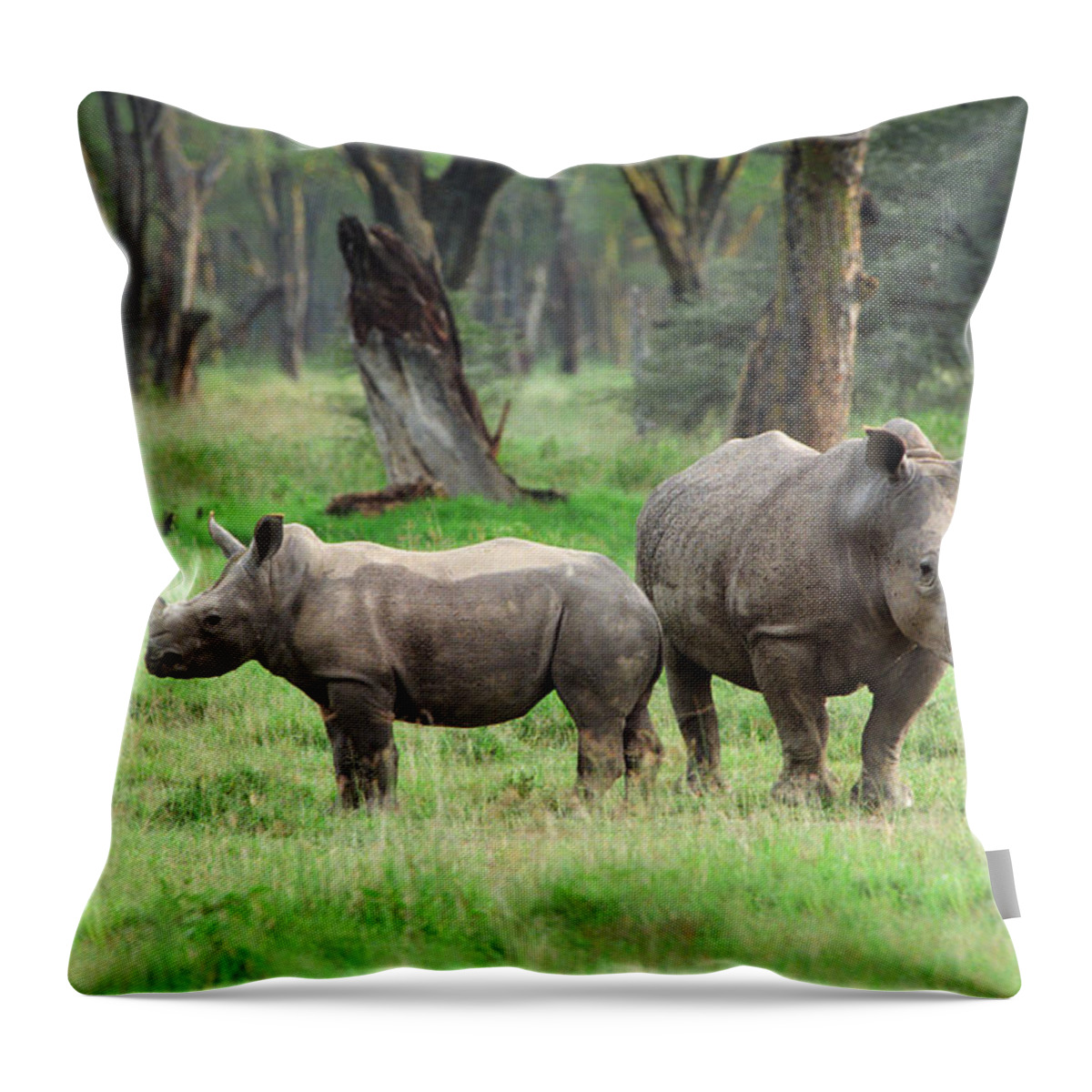 Africa Throw Pillow featuring the photograph Rhino Family by Sebastian Musial