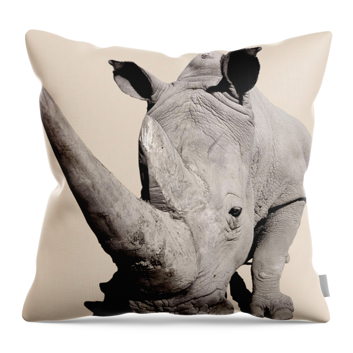 Powerful Throw Pillow featuring the photograph Rhinocerosafrica by Thomas Kitchin & Victoria Hurst