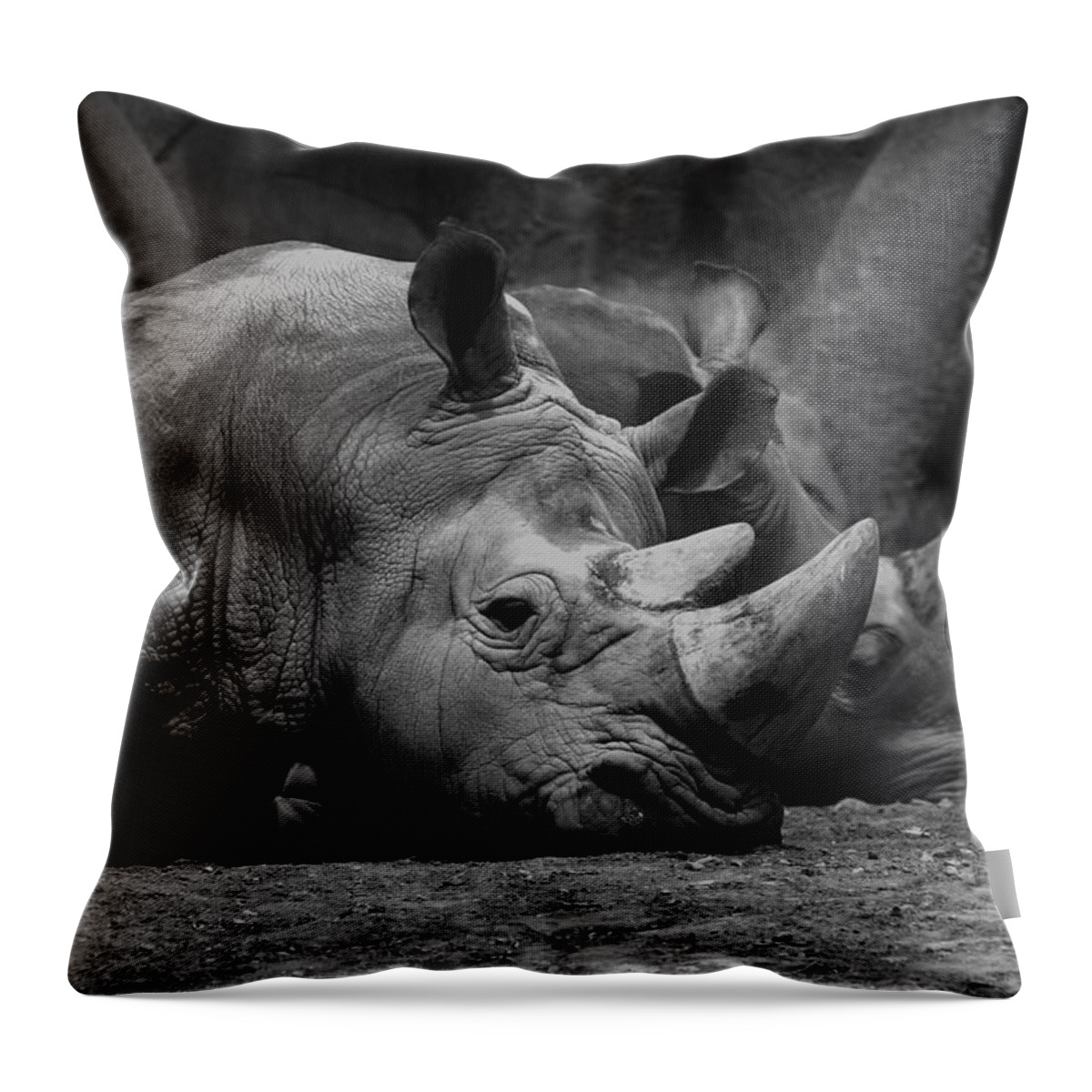 Black And White Throw Pillow featuring the photograph Rhinos by David Andersen