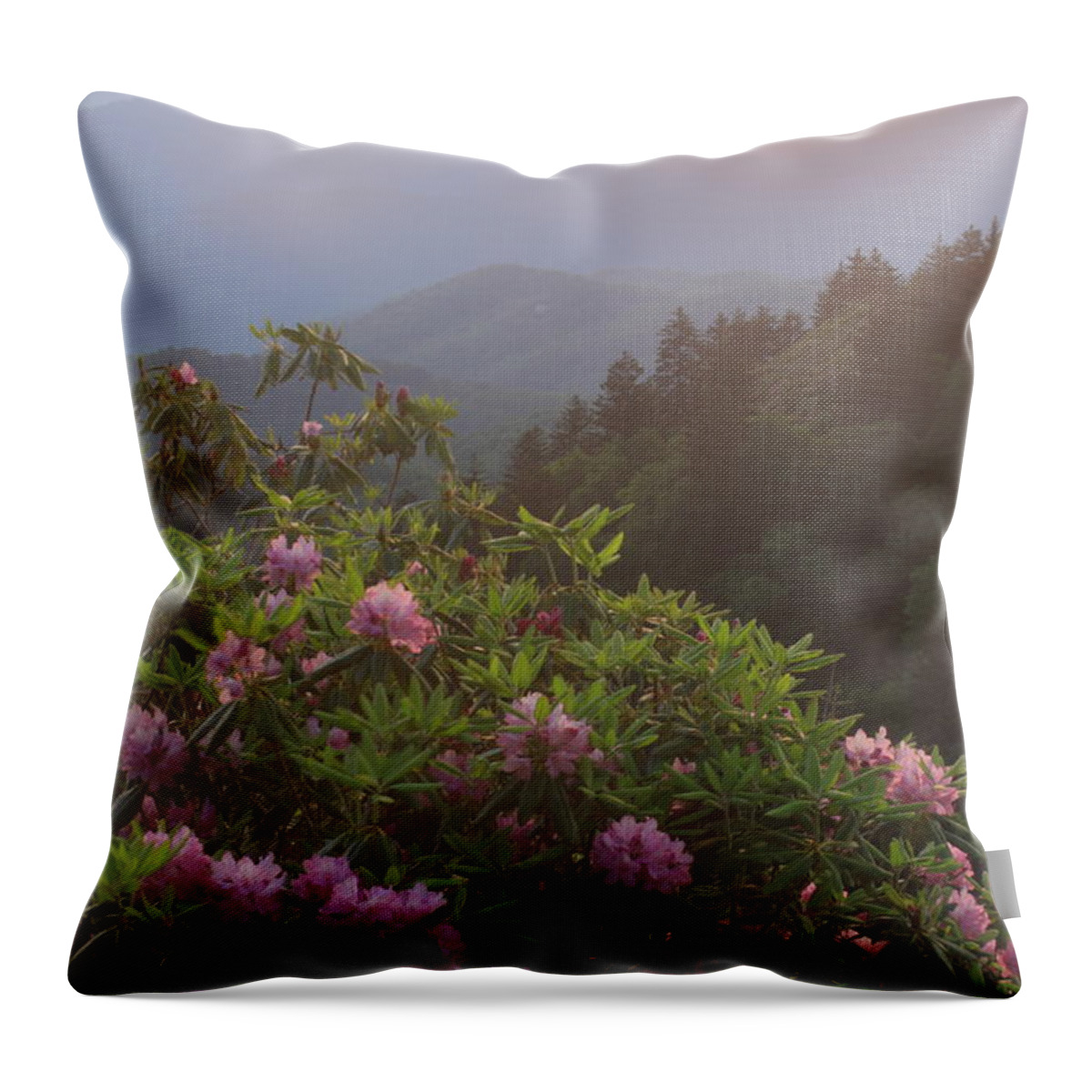North Carolina Throw Pillow featuring the photograph Rhododendrons and Smoky Mountains in Evening Light by John Burk