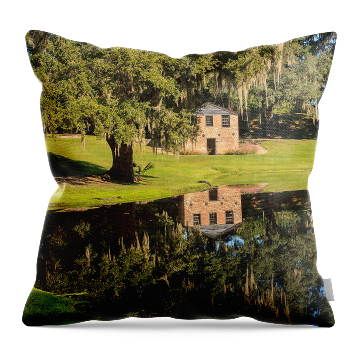 Rice Mill Throw Pillow featuring the photograph Rice Mill Pond Reflection by Patricia Schaefer