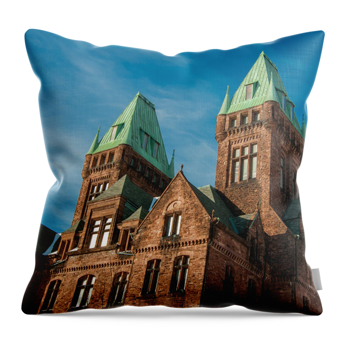 Buffalo Throw Pillow featuring the photograph Richardson Complex 3D21972 by Guy Whiteley