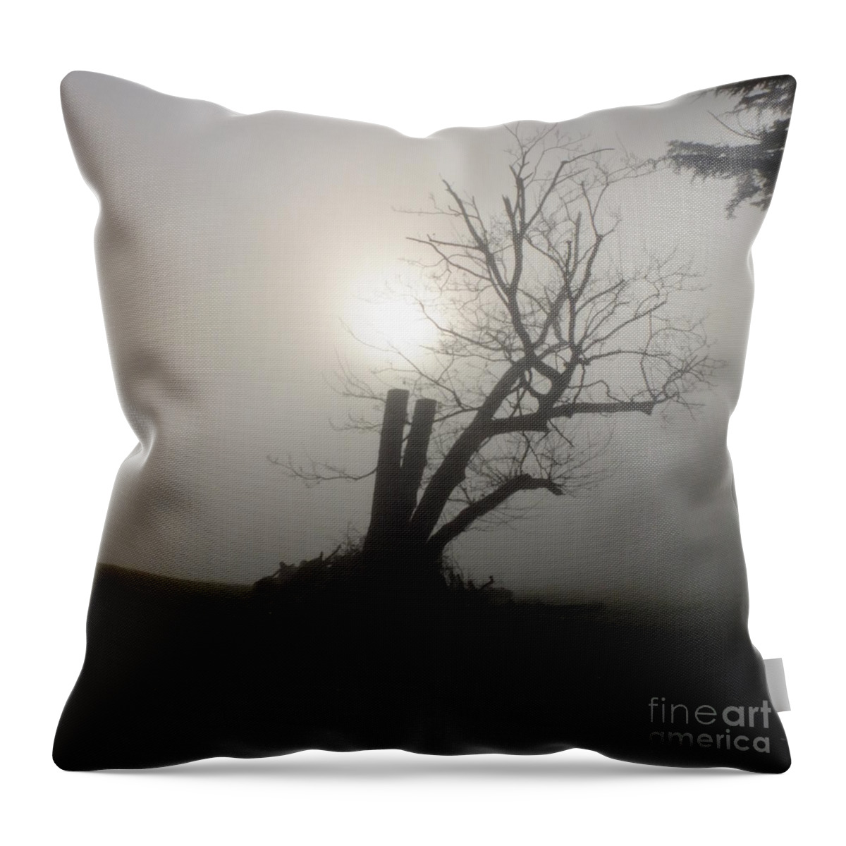 Stumpy Tree Throw Pillow featuring the photograph Richmond Park 14 by Simon Kennedy