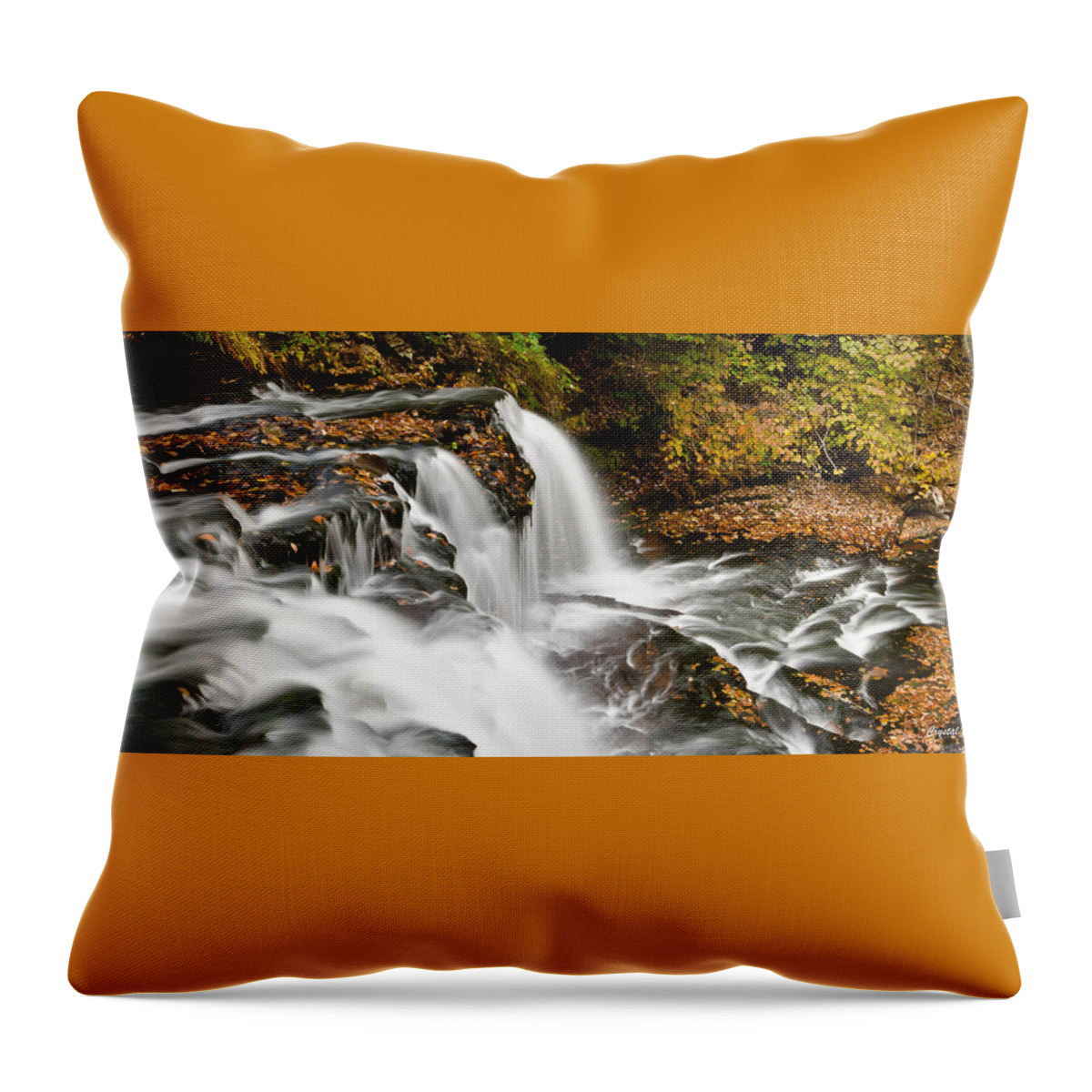 Waterfalls Throw Pillow featuring the photograph Ricketts Glen - On Top of the Fall by Crystal Wightman