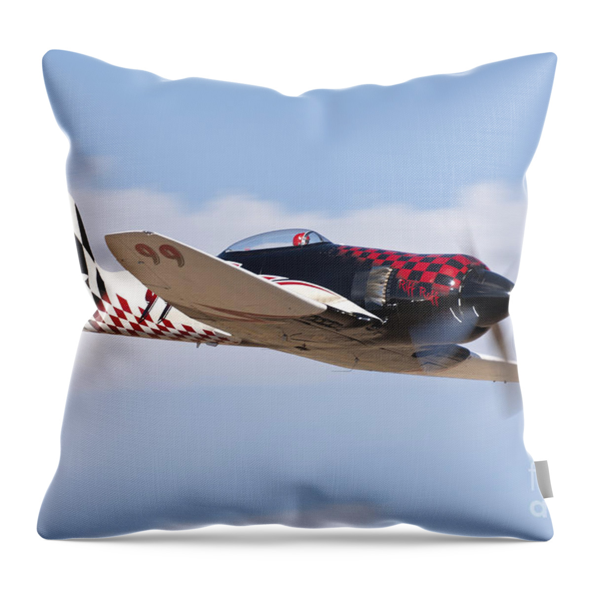 Airplane Throw Pillow featuring the photograph Riff Raff in The Valley by Rick Pisio