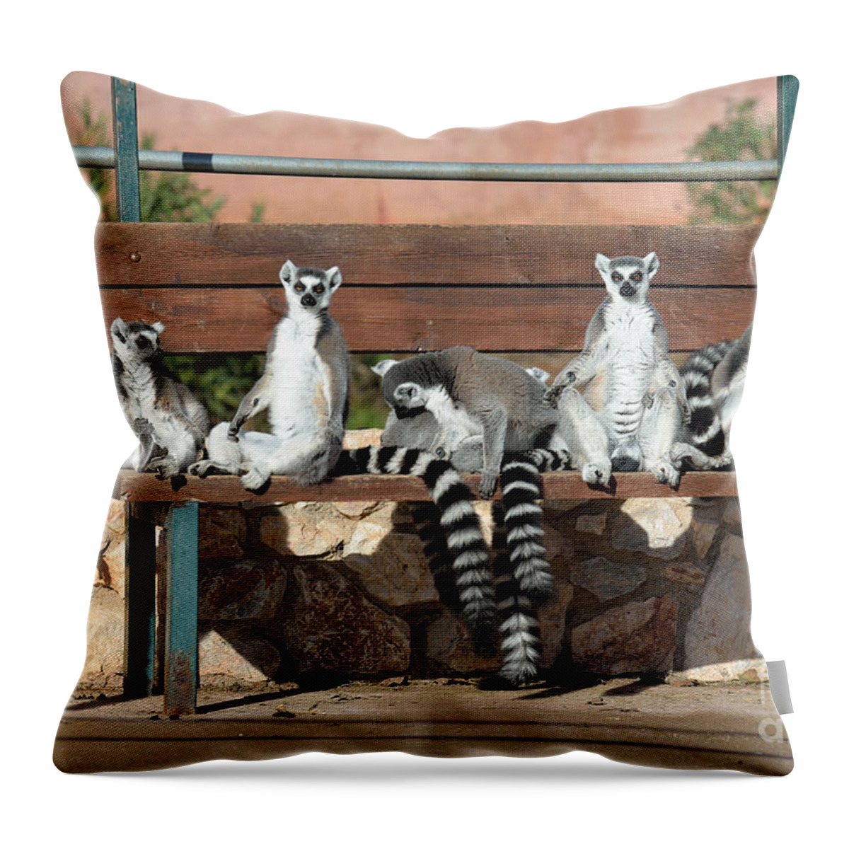 Ring Tailed Lemur Throw Pillow featuring the photograph Ring Tailed Lemurs by George Atsametakis
