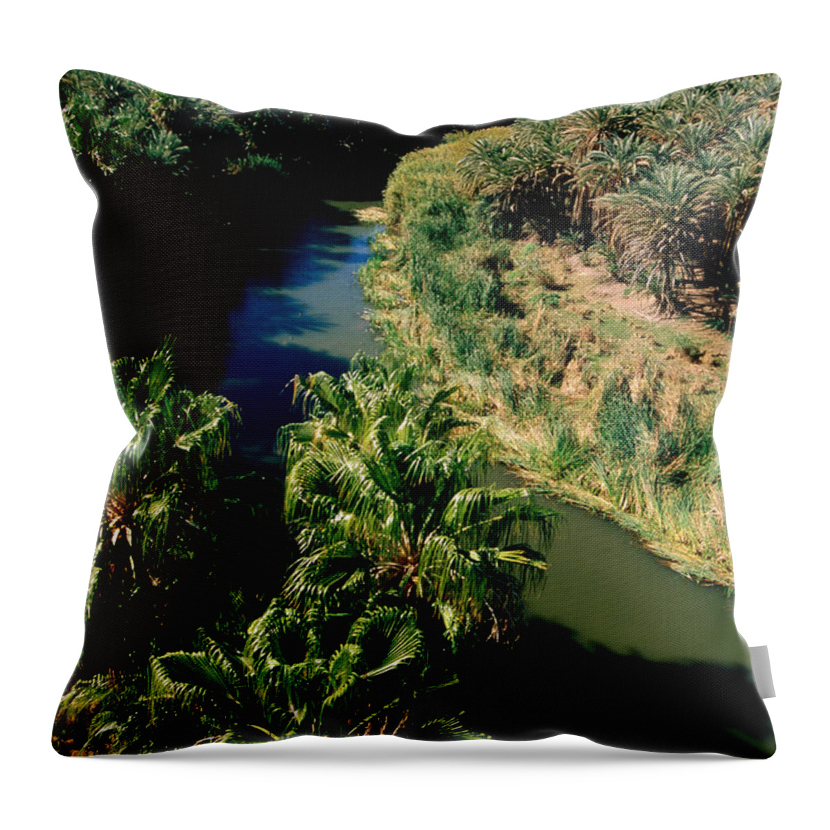 Shadow Throw Pillow featuring the photograph Rio Mulege And Palm Grove From by John Elk