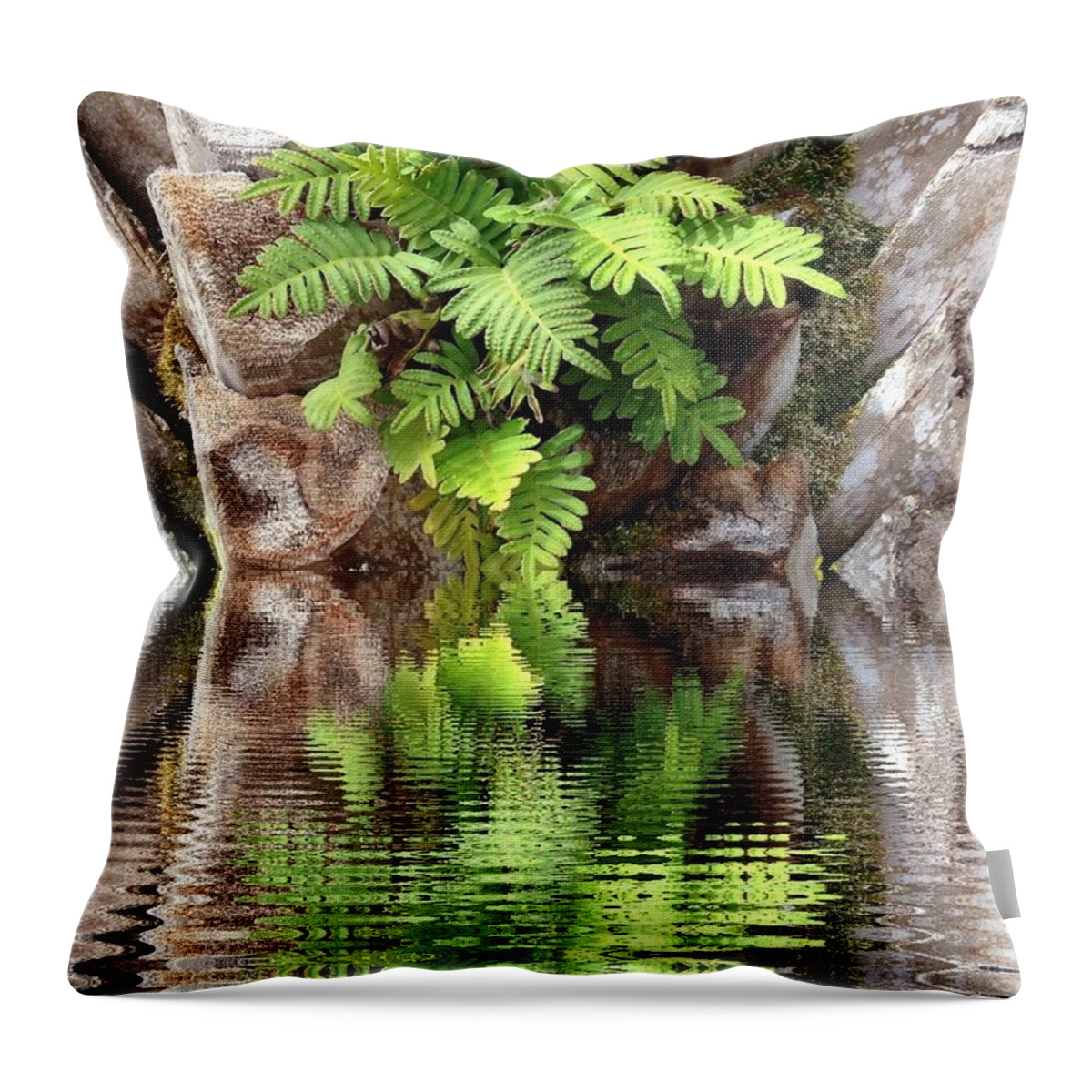 Ripples Throw Pillow featuring the photograph Ripples and Reflection by Marian Lonzetta