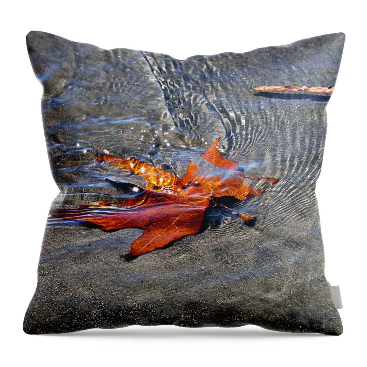 Leaf Throw Pillow featuring the photograph Rippling Amber by Joe Schofield