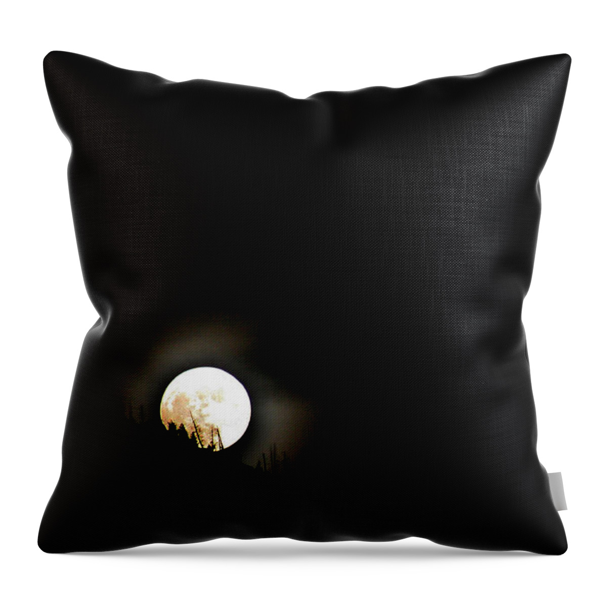 Lanscape Throw Pillow featuring the photograph Rising Moon by Joel Loftus