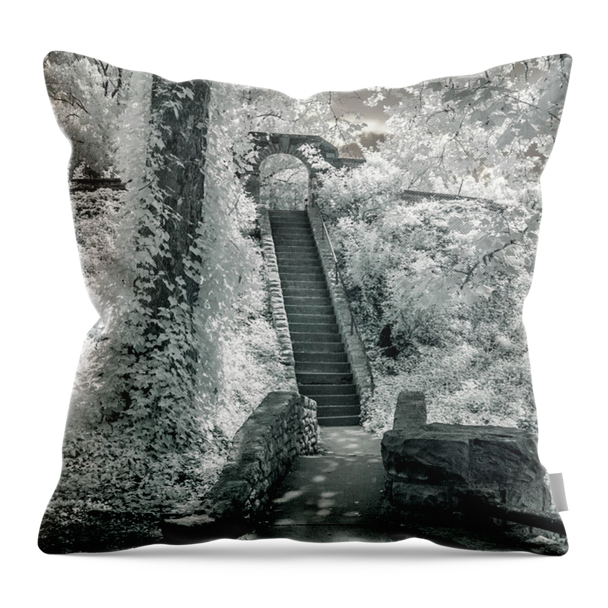 Ritter Park Throw Pillow featuring the photograph Ritter Park by Mary Almond