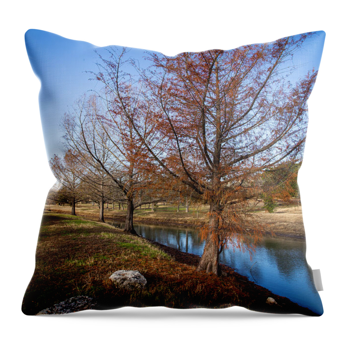 Austin Throw Pillow featuring the photograph River and Winter Trees by John Wadleigh