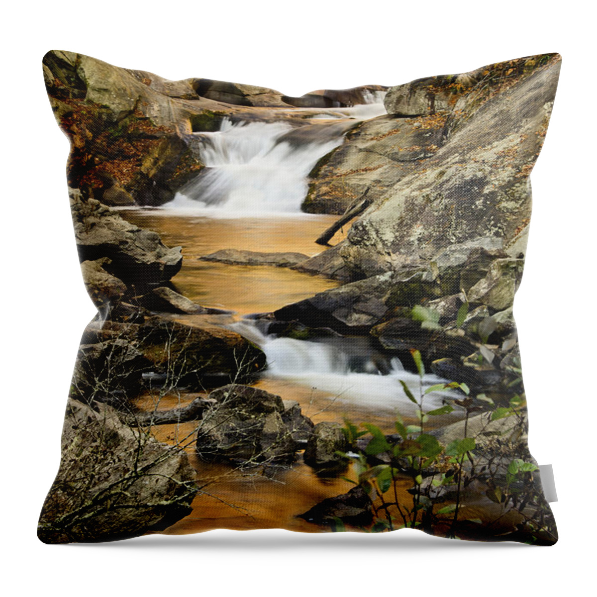 Autumn Throw Pillow featuring the photograph River of Gold by Penny Lisowski